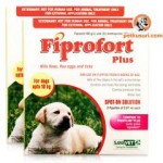 Fiprofort_Plus_Small_dog