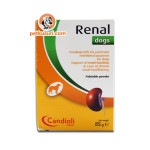renal_dog85_front