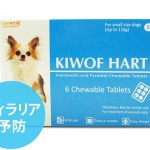 知ってますか？高品質フィラリア予防薬「キウォフハート」を。飼い主さん必読ですっ！