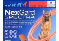 nexgard-spectra-extra-large-dog_f-1500x1500